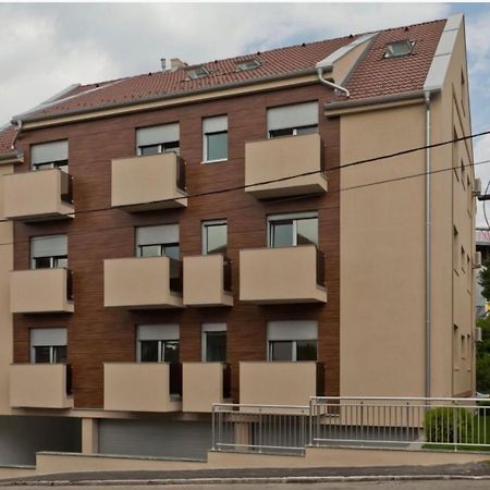 Modern 1 Bed Apartment, Near Shopping Mall Stadion Belgrado Buitenkant foto