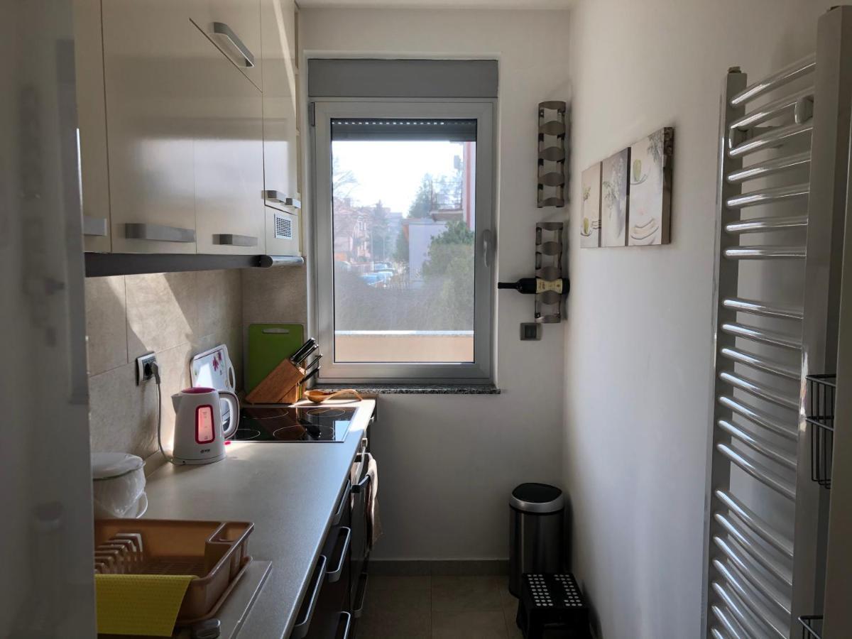 Modern 1 Bed Apartment, Near Shopping Mall Stadion Belgrado Buitenkant foto